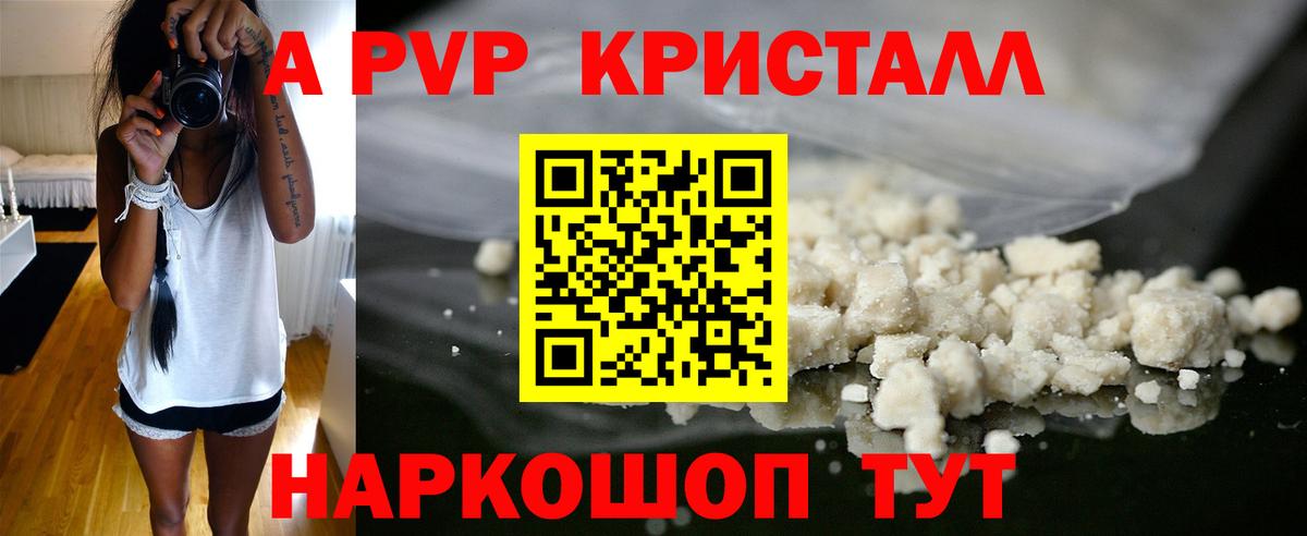 A PVP СК КРИС Архангельск