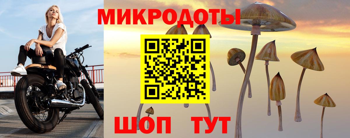 Архангельск  Галлюциногенные грибы Cubensis  Вход с VPN  Псилоцибиновые грибы прущие грибы 